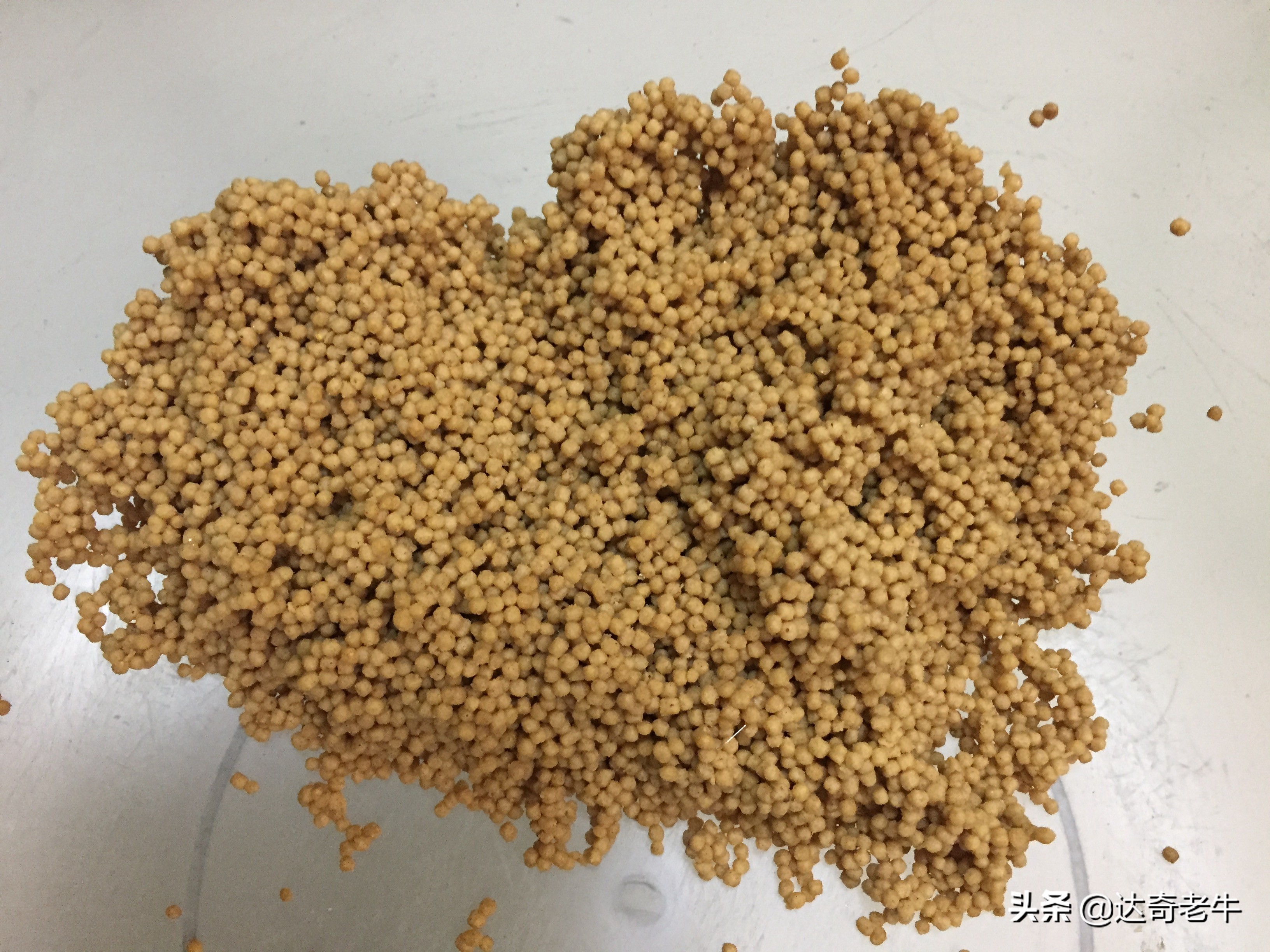 原塘颗粒钓鱼怎么样,原塘颗粒饵料最佳搭配