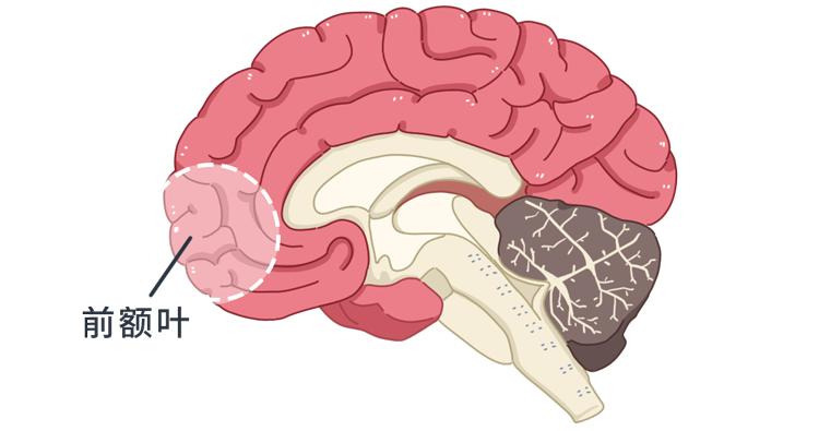为什么很多人的专注力都不集中,为什么注意力总是无法集中