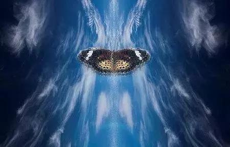 超级真菌来了致死率,超级真菌真的很可怕吗