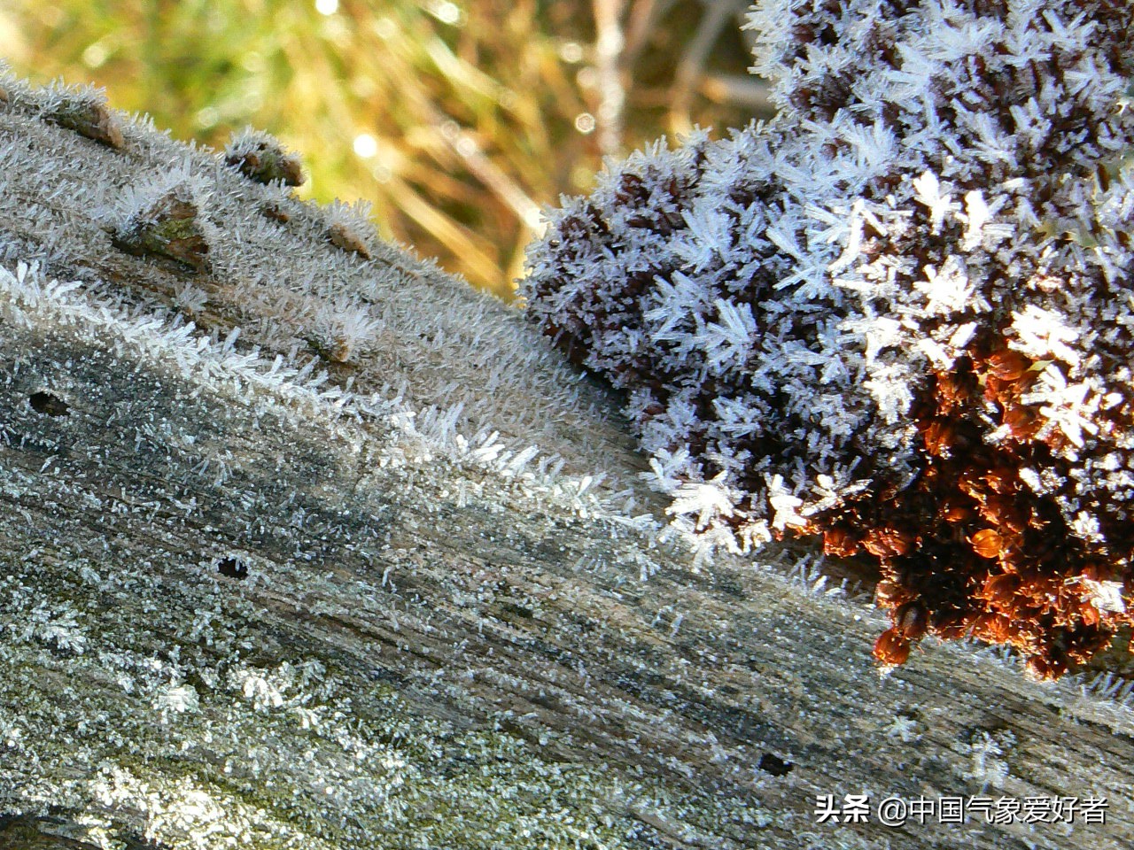全国寒潮重庆,寒潮最新消息重庆