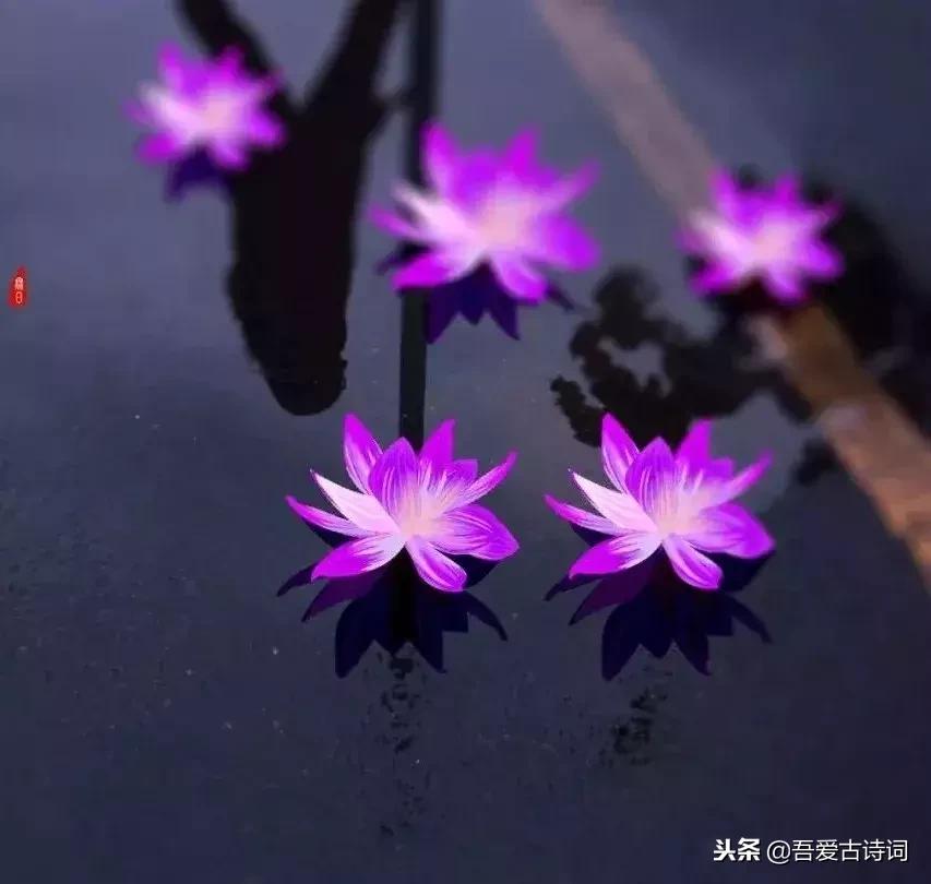 下元节一个被遗忘的中国传统节日,被遗忘的传统节日下元节