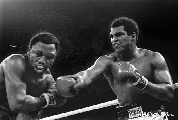 2022年二十部顶级好莱坞片,历年二十部顶级好莱坞片