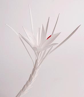 把一张纸变成100元钱,把一张纸做的钱变成真钱的手工