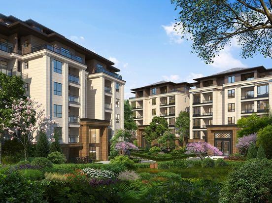 南川免费避暑景点,重庆南川康养胜地避暑度假村