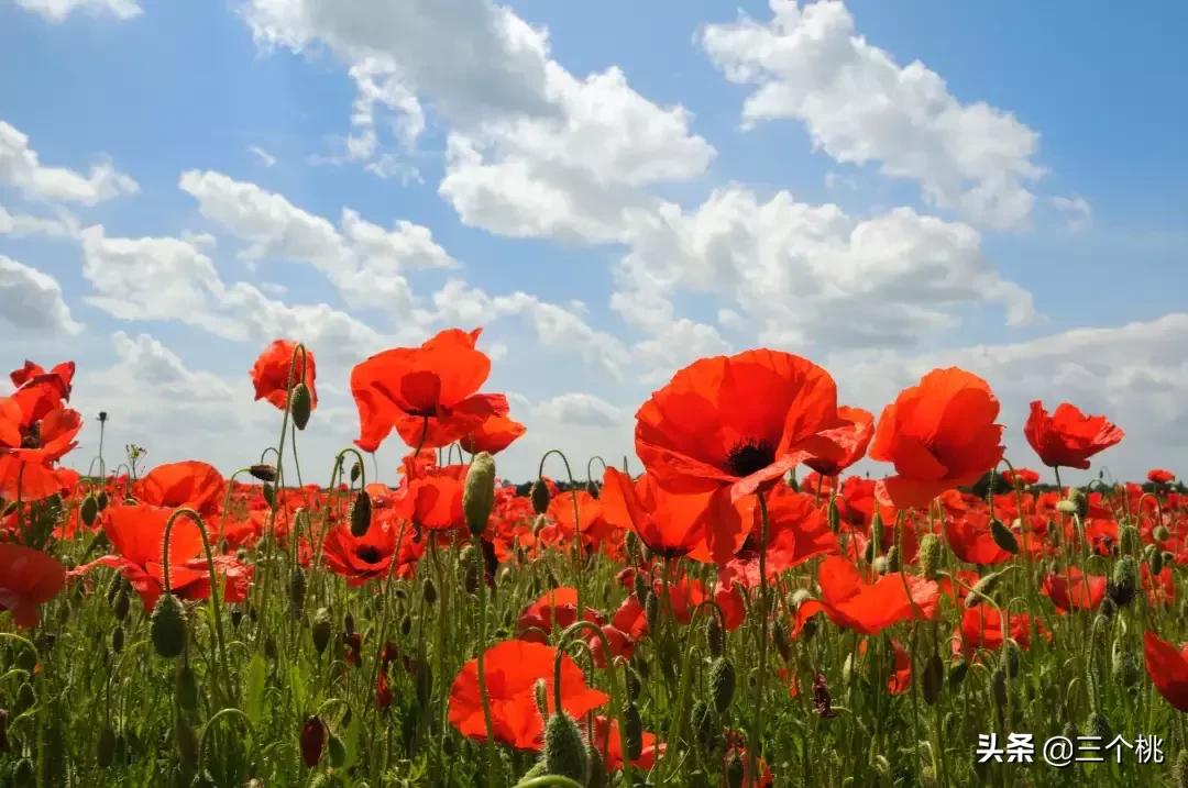 今年流行的裙子不穿高跟鞋,今年流行时髦的裙子冬天穿的