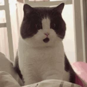 西宁城北绿地国际花都房价多少,西宁城南富恒山庄最近房价多少