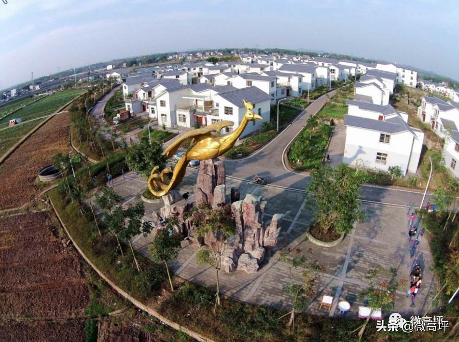 高坪区临江新区,高坪临江新区