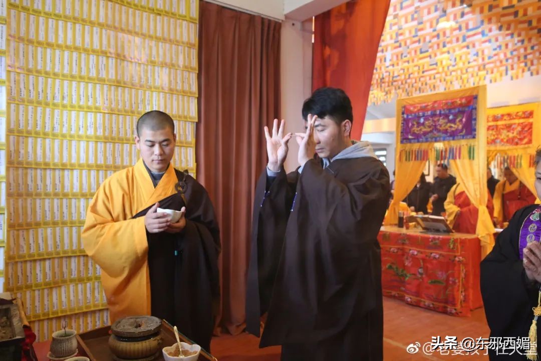 500字作文我真聪明,五篇小作文