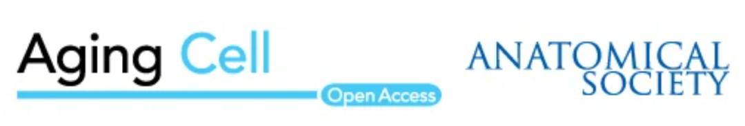 姜黄素抗感冒吗,姜黄素抗氧化吗