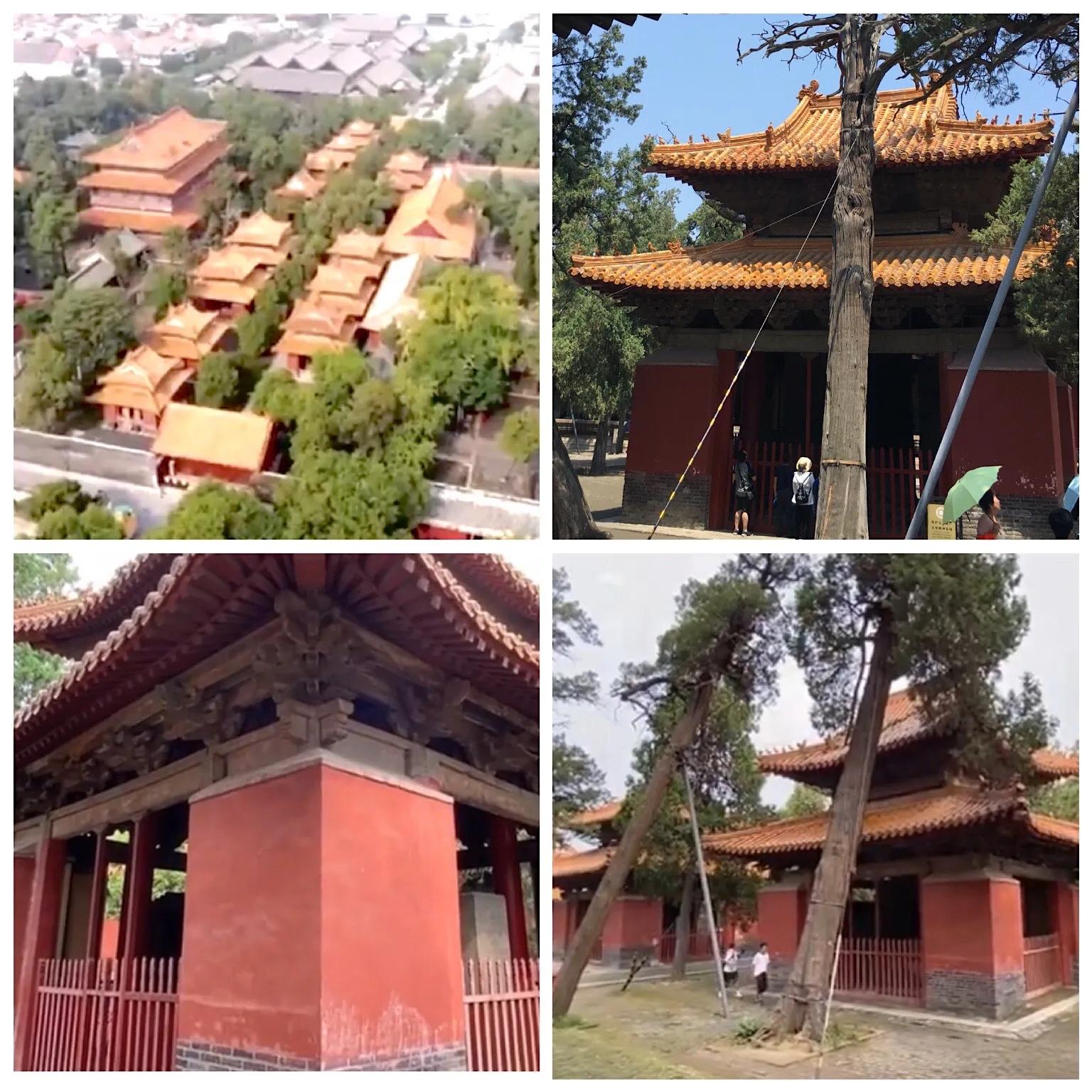 父子万里行,携手走天下(第31集曲阜篇)