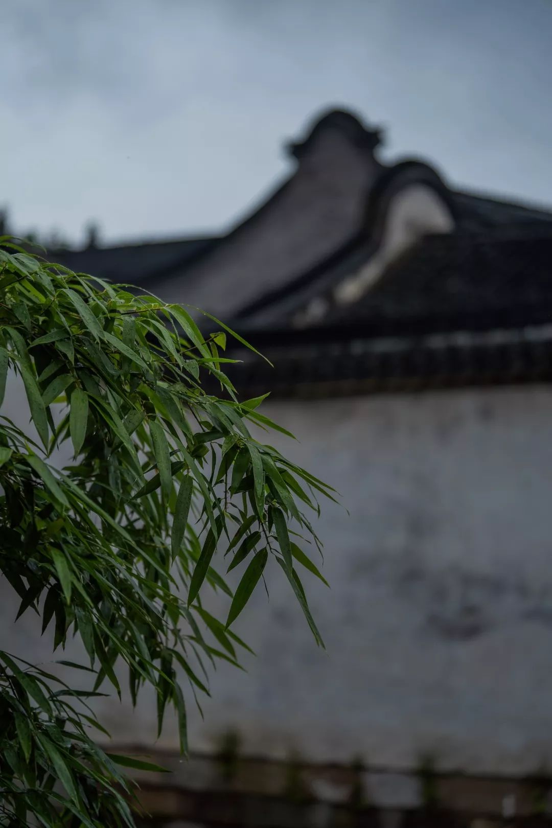 乌镇冬天好看吗,乌镇夏天怎么样