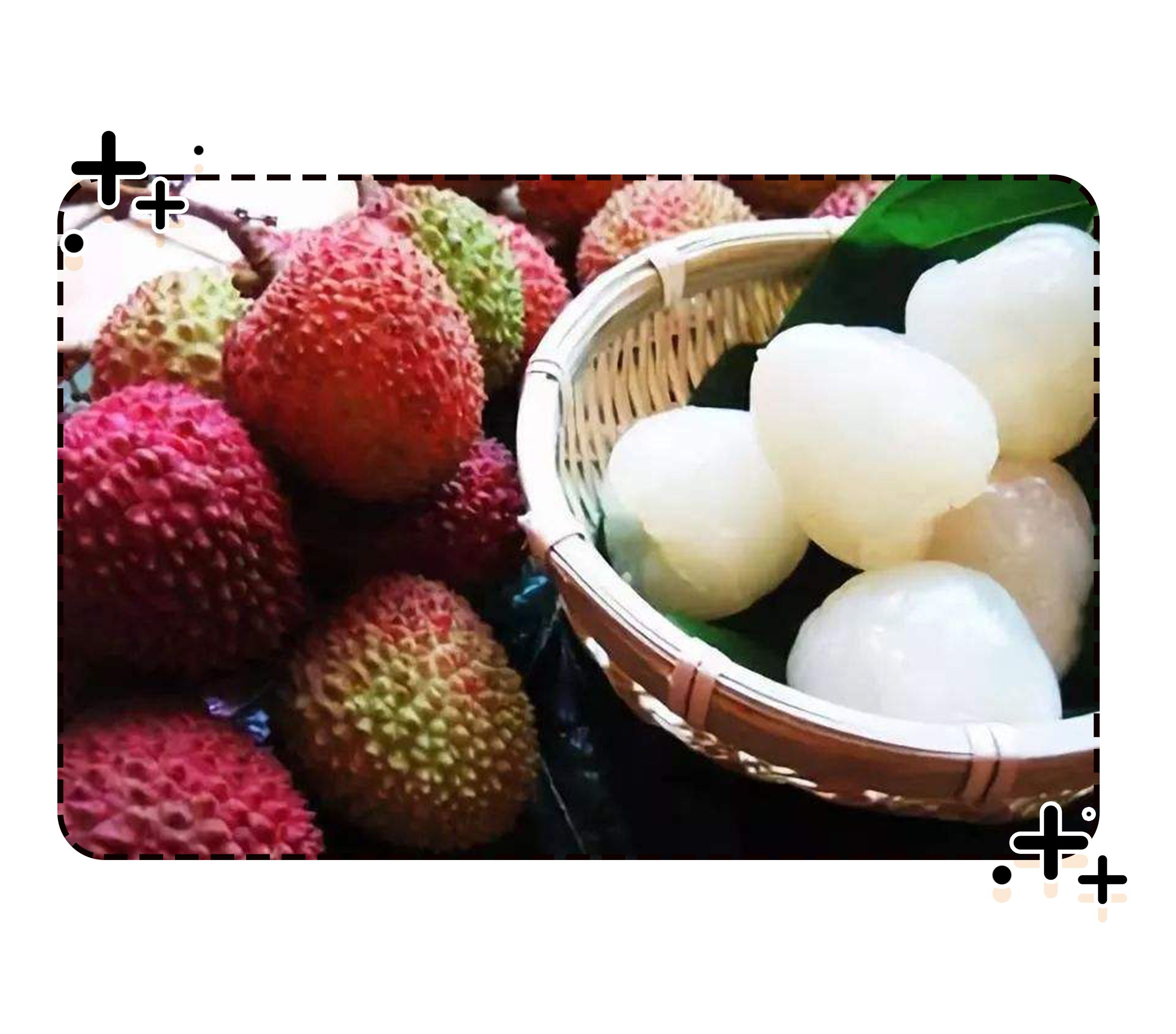 为了阻止荔枝集体自杀，古往今来荔枝控们费尽心机（菲李漫画）