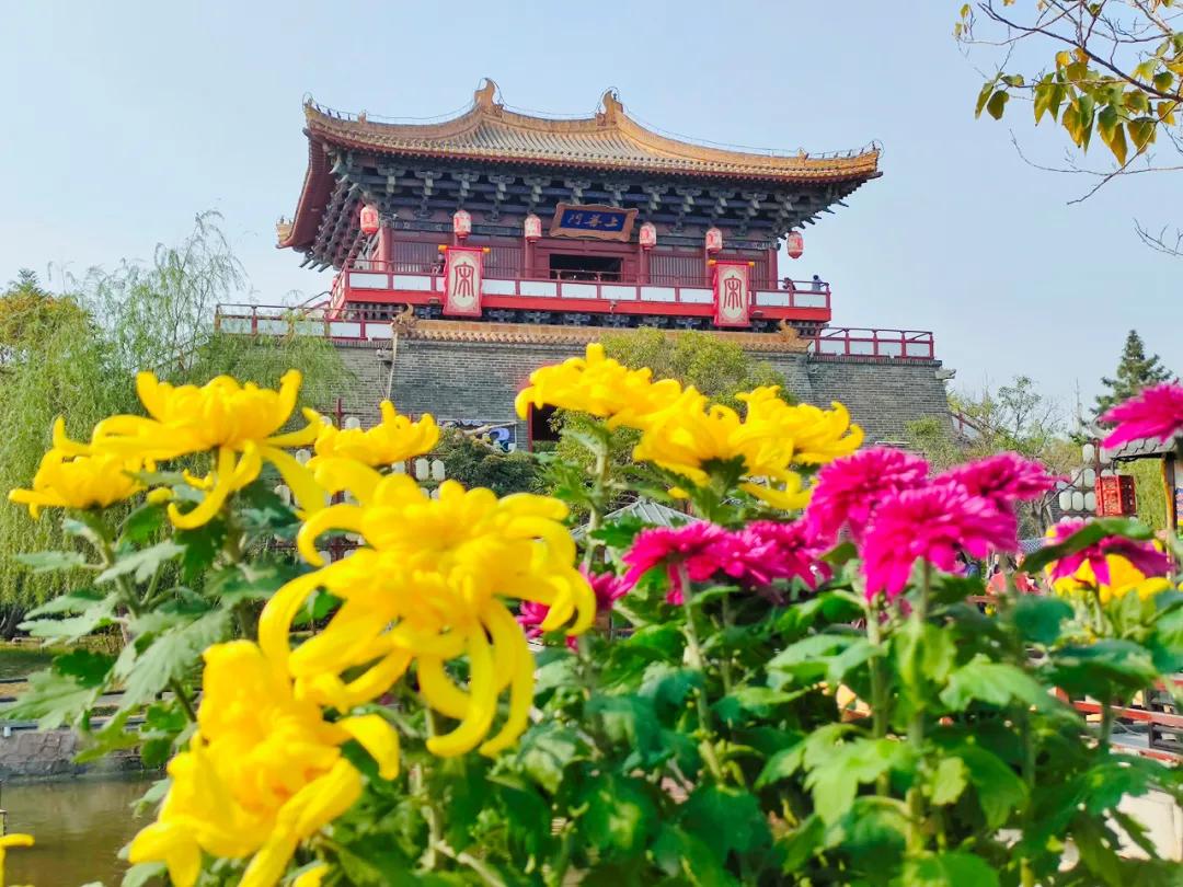 清明上河园终身年卡在哪里购买,清明上河园年票能升级终身票吗