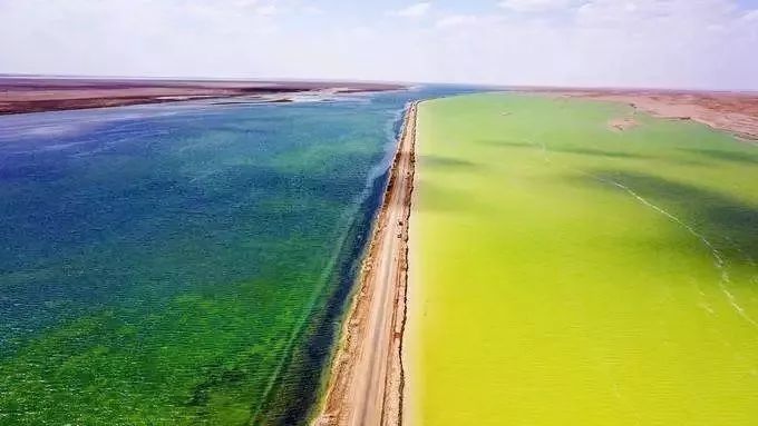 这条最“咸”最彩的公路,治好了我*藏西**的病,解掉了我*疆新**的毒