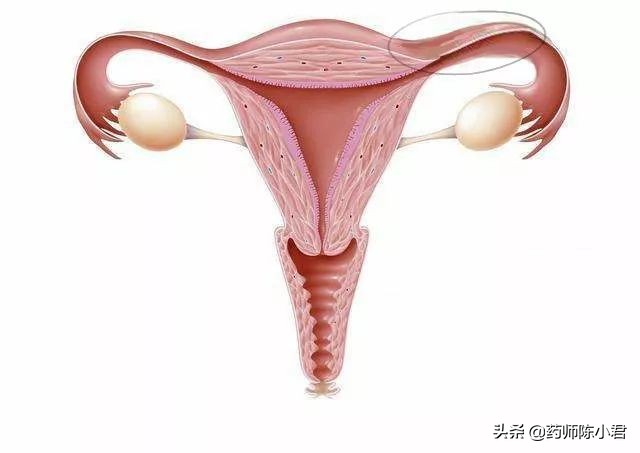 肚子变大，你可能是生病了