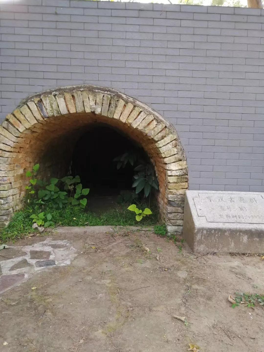 番禺地铁7号线旅游攻略,广州番禺七号线游玩攻略