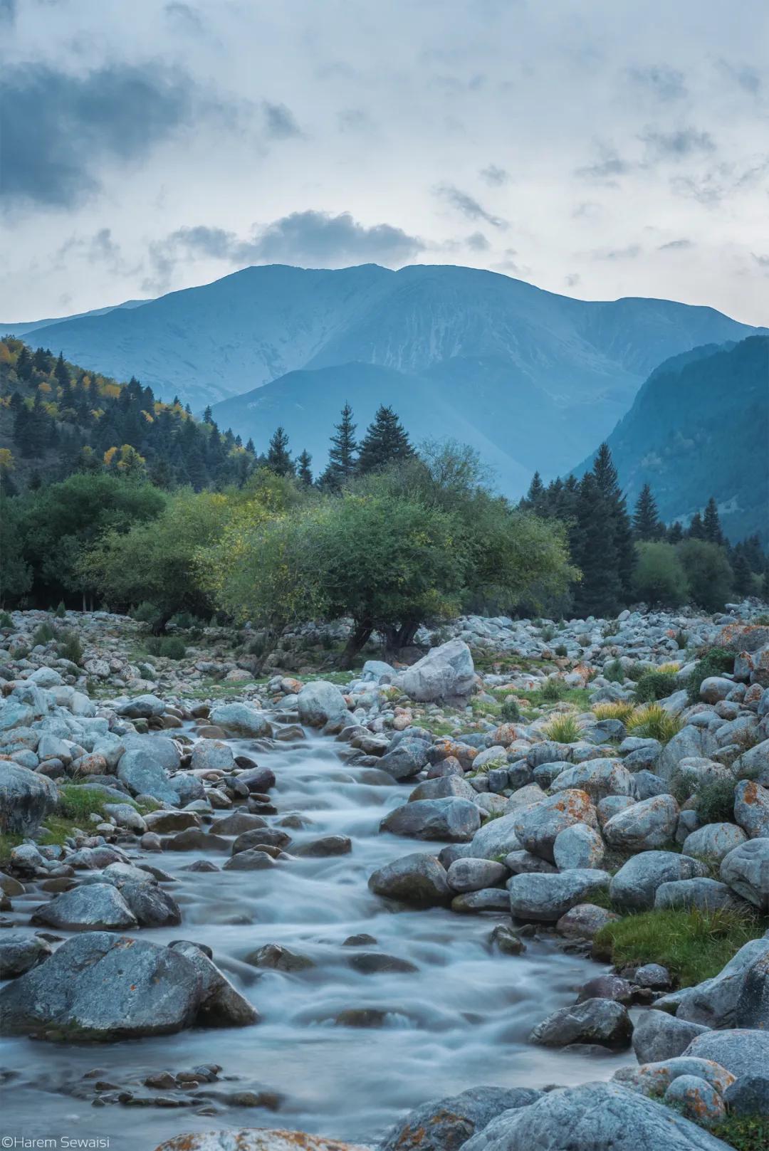 西北望射天狼深度解析,西北望射天狼霸气吗