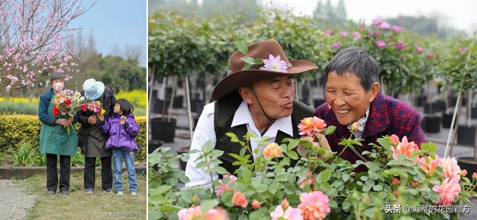 曾是电脑城销售，12年后坐拥60亩私家花园，137万网友跟她看春天