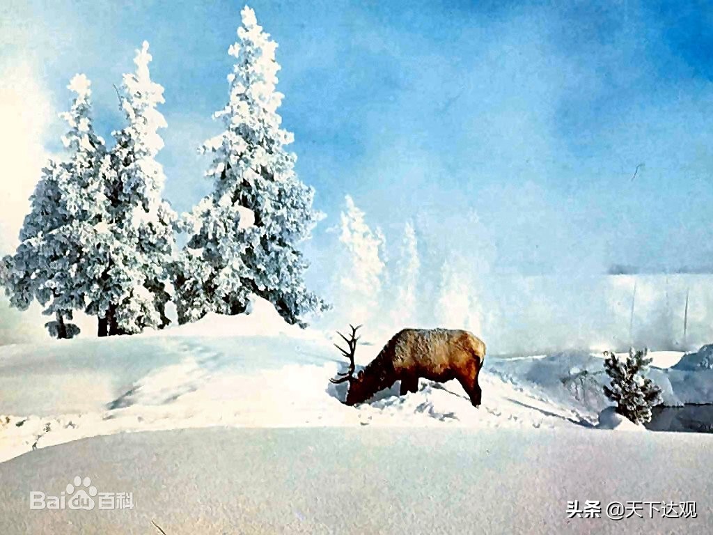 欧洲史|爱尔兰:议会共和制国家，与英国隔海相望，是“翡翠岛国”