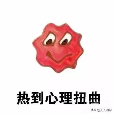 科学养犬四个标准是指哪些,科学养宠攻略狗不能吃什么