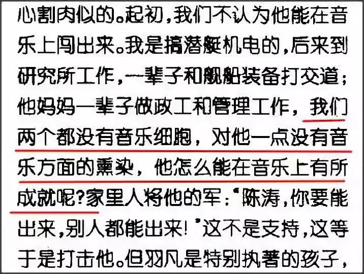 羽泉目前状况,羽泉的真正实力