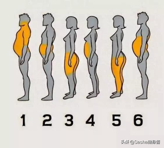 一周五斤燃脂训练计划,四分钟hit高效燃脂减肥瘦全身