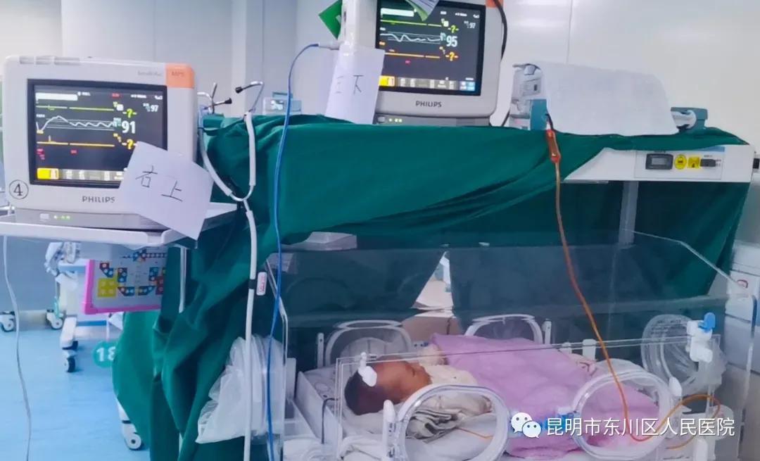 鏁晱鐢熷懡鎸芥晳鐢熷懡,鏁晱鐢熷懡鏁戞鎵朵激鐢樹簬濂夌尞