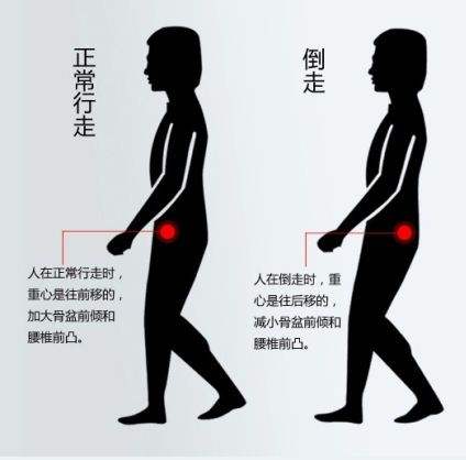 肾虚引发的腰疼是哪种,肾虚腰疼治疗法