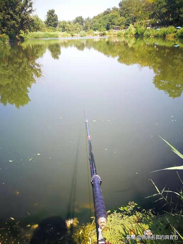 大暑天钓鱼怎么钓,大暑天野钓饵料