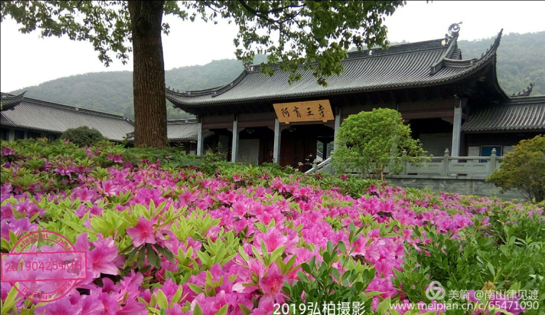 阿育王寺和白马寺,佛教阿育王简介