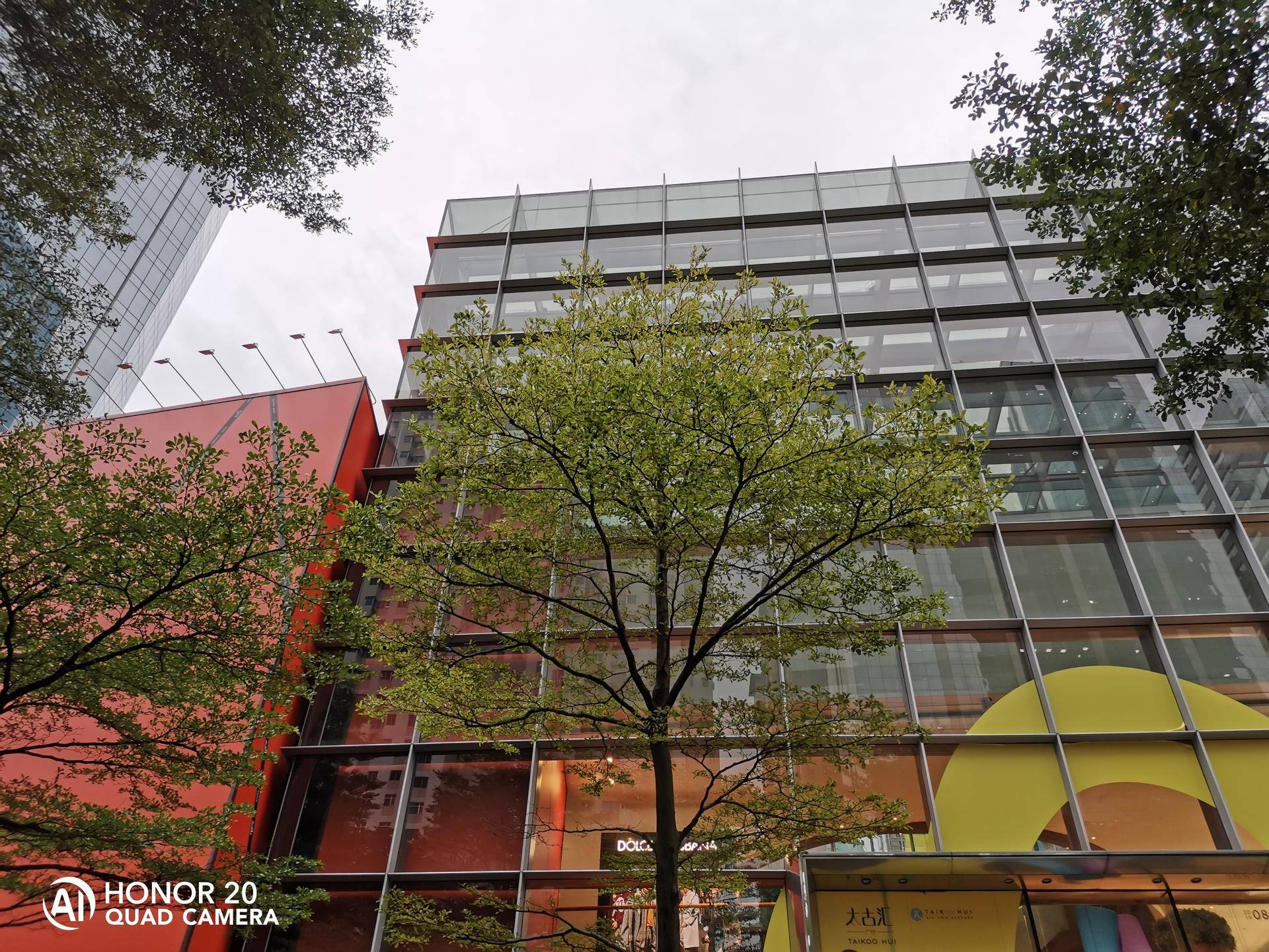 renoace拍照跟荣耀20p哪个好,荣耀20pro和opporeno拍照对比