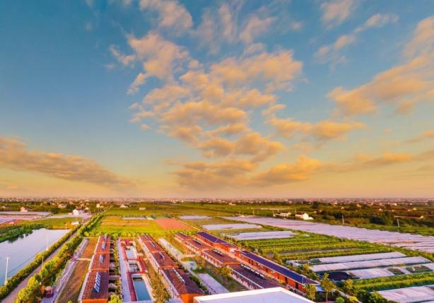 农民工进城打工现状,农民工进城