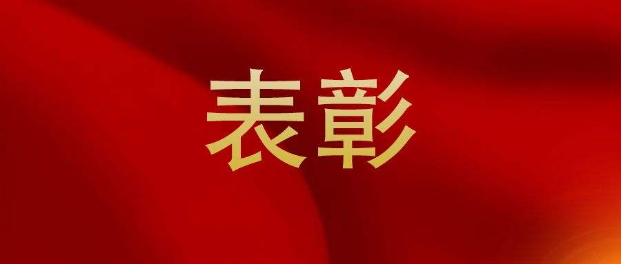 全名单来了!四川表彰100名优秀*产党共**员、100名优秀*党**务工作者和200个先进*党**组织