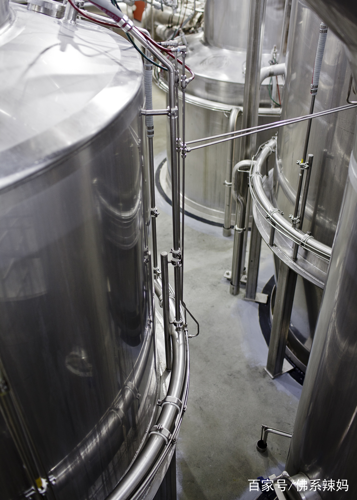 奶粉里有小飞虫如何解决,奶粉过期然后长虫要怎么解决