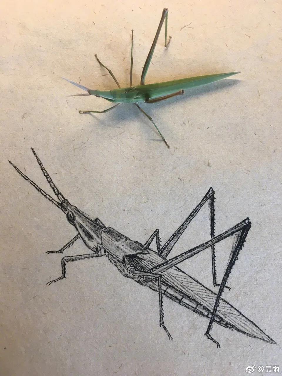 影帝夏雨书法真迹,演员夏雨晒书法作品