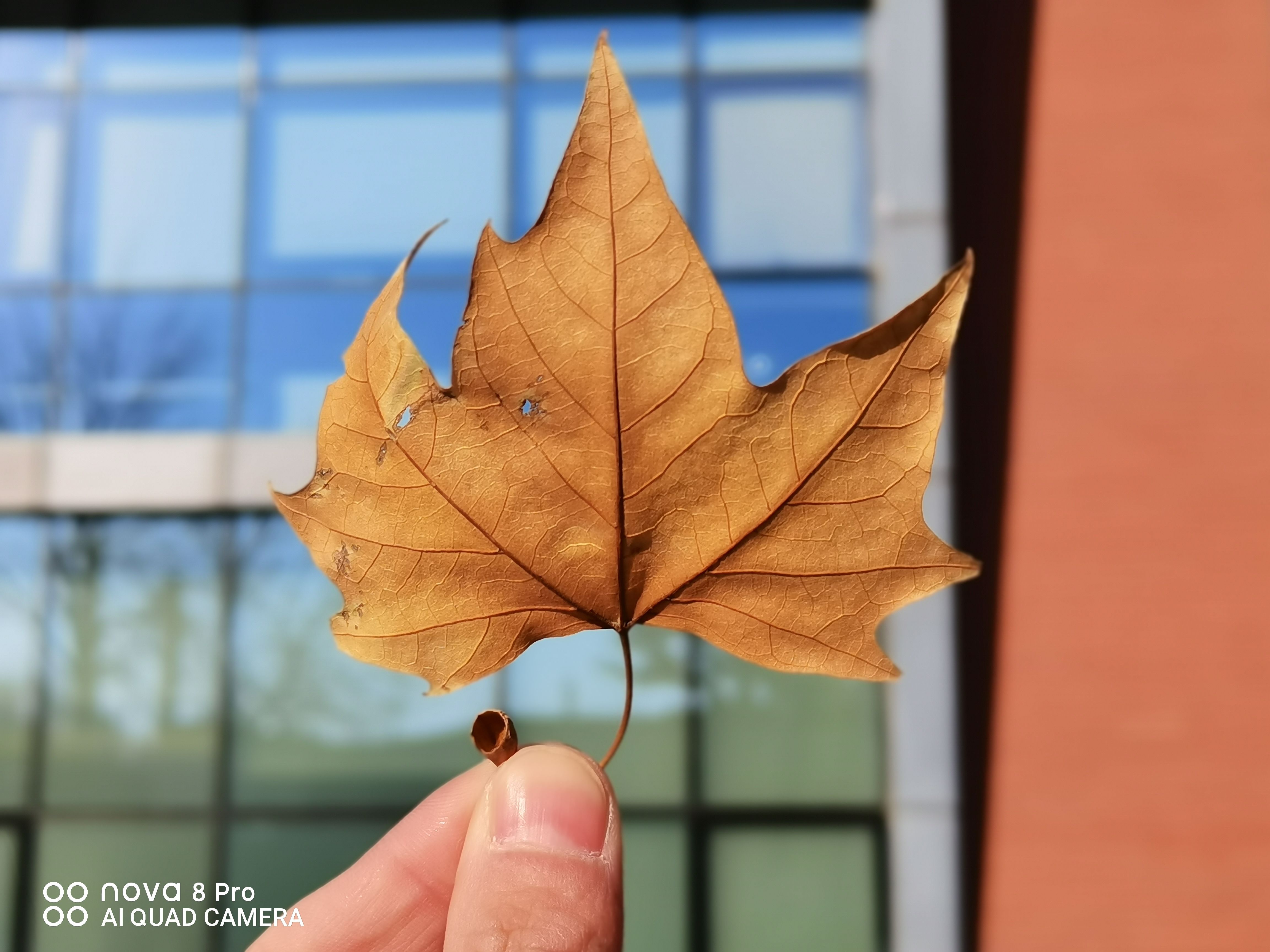 华为nova8Pro:好看的Vlog视频手机