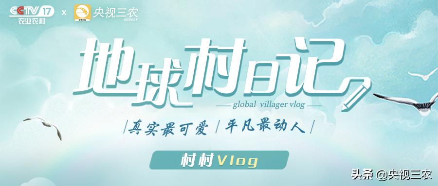 俄罗斯人最爱的中国美食,俄罗斯人最爱的中餐