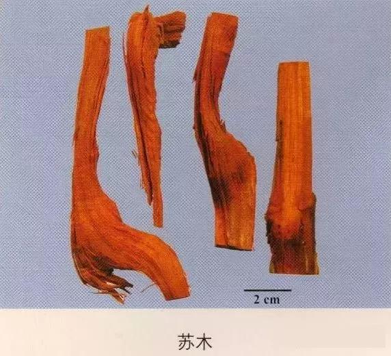 中药材图片大全大图带药名,200多味中药材图谱带图