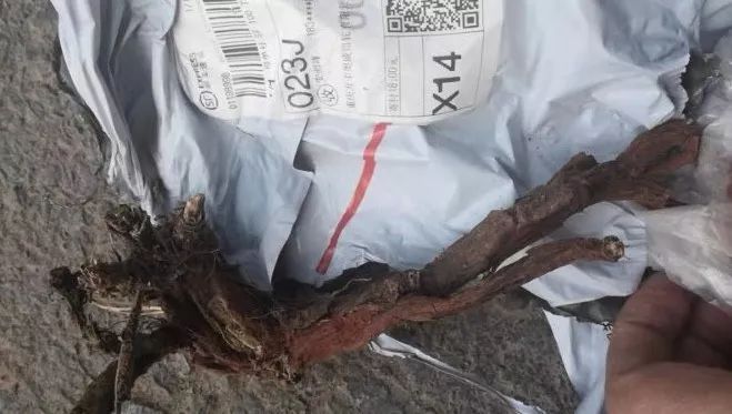 非法卖口罩诈骗案,大快人心虚假售卖口罩诈骗案破获