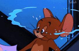 小时候看不懂猫和老鼠的故事,小时候看猫和老鼠动画片