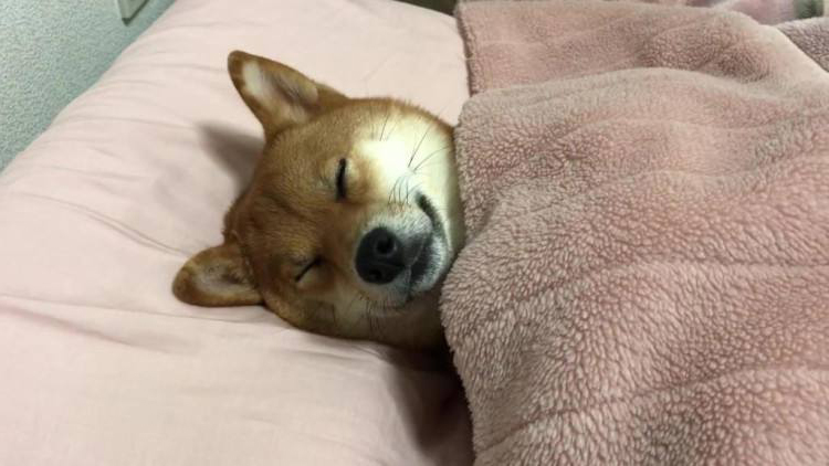 任天堂switchlite配件推荐,switch配件购买建议