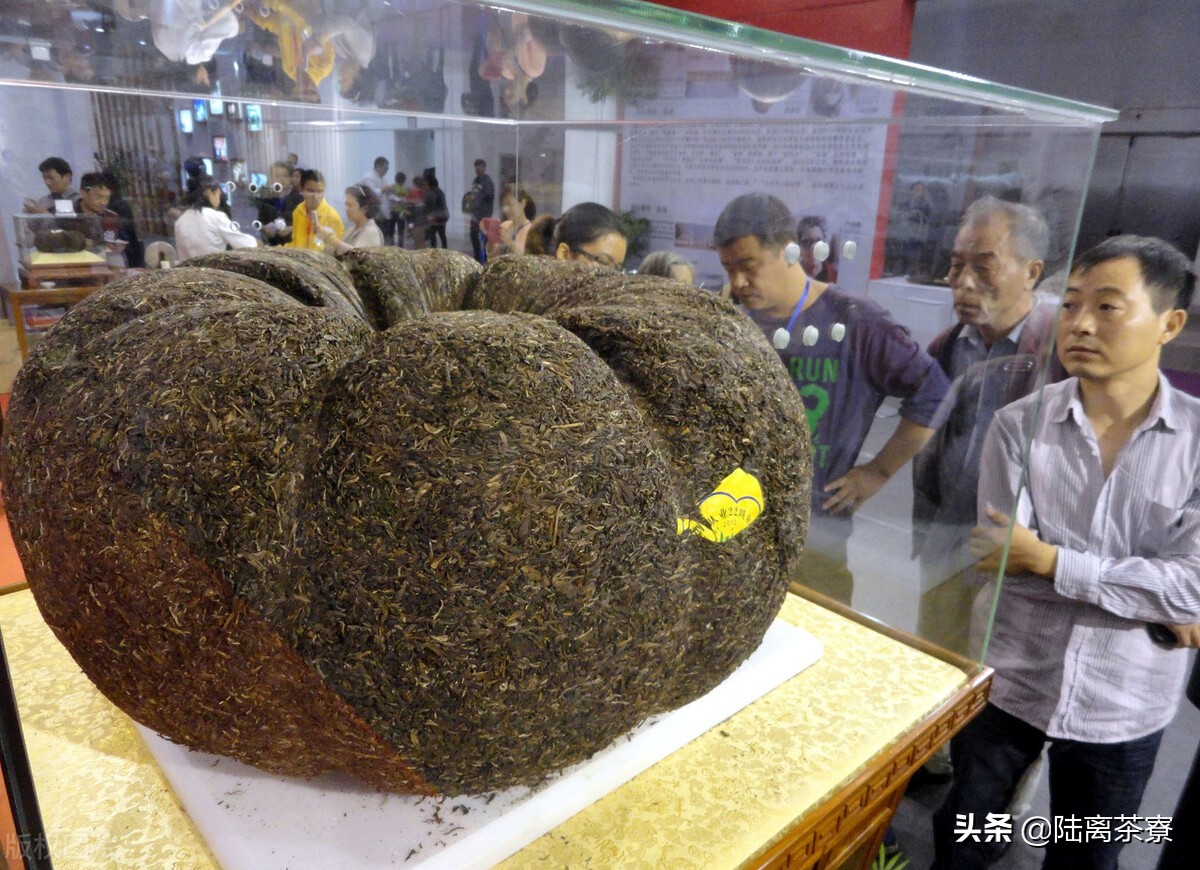 从故宫贡茶看普洱茶史,垃圾茶揭秘