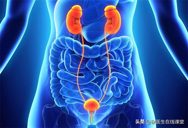 a型b型ab型o型哪种血型体质最好,血型有a型b型你知道我是什么型吗