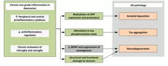 国外有效治疗抑郁症的方法,国际上治疗抑郁症最新办法