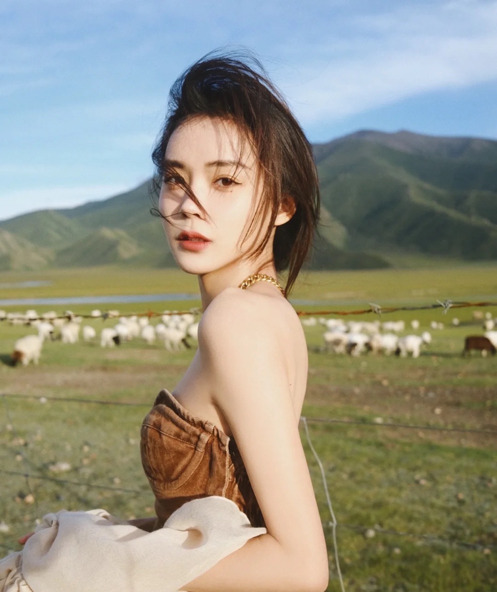 有眼影搭配公式的眼影盘,眼影教程初学者适合什么眼影盘