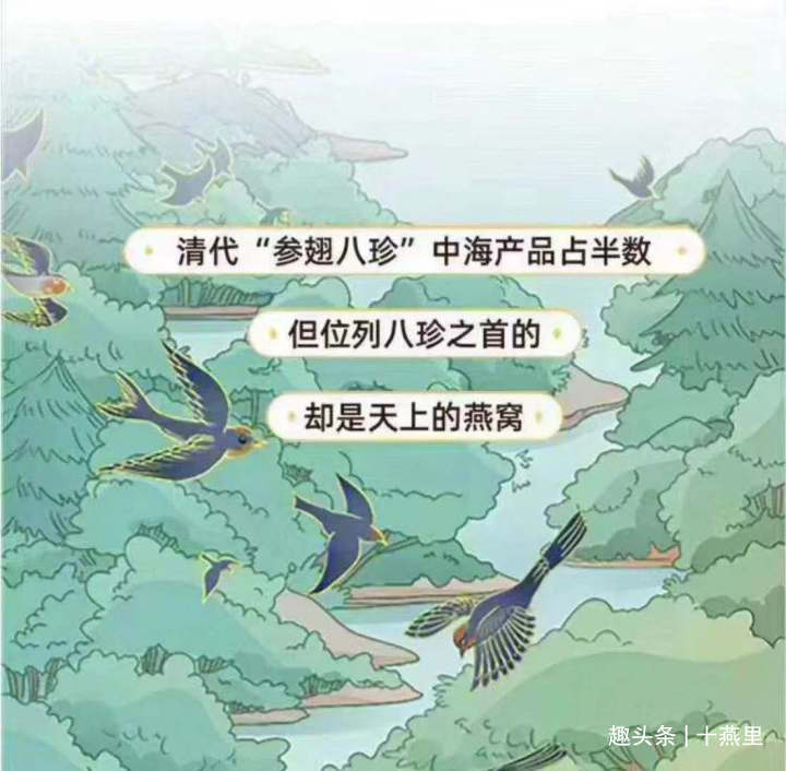 燕窝真实故事视频,燕窝的相关记载