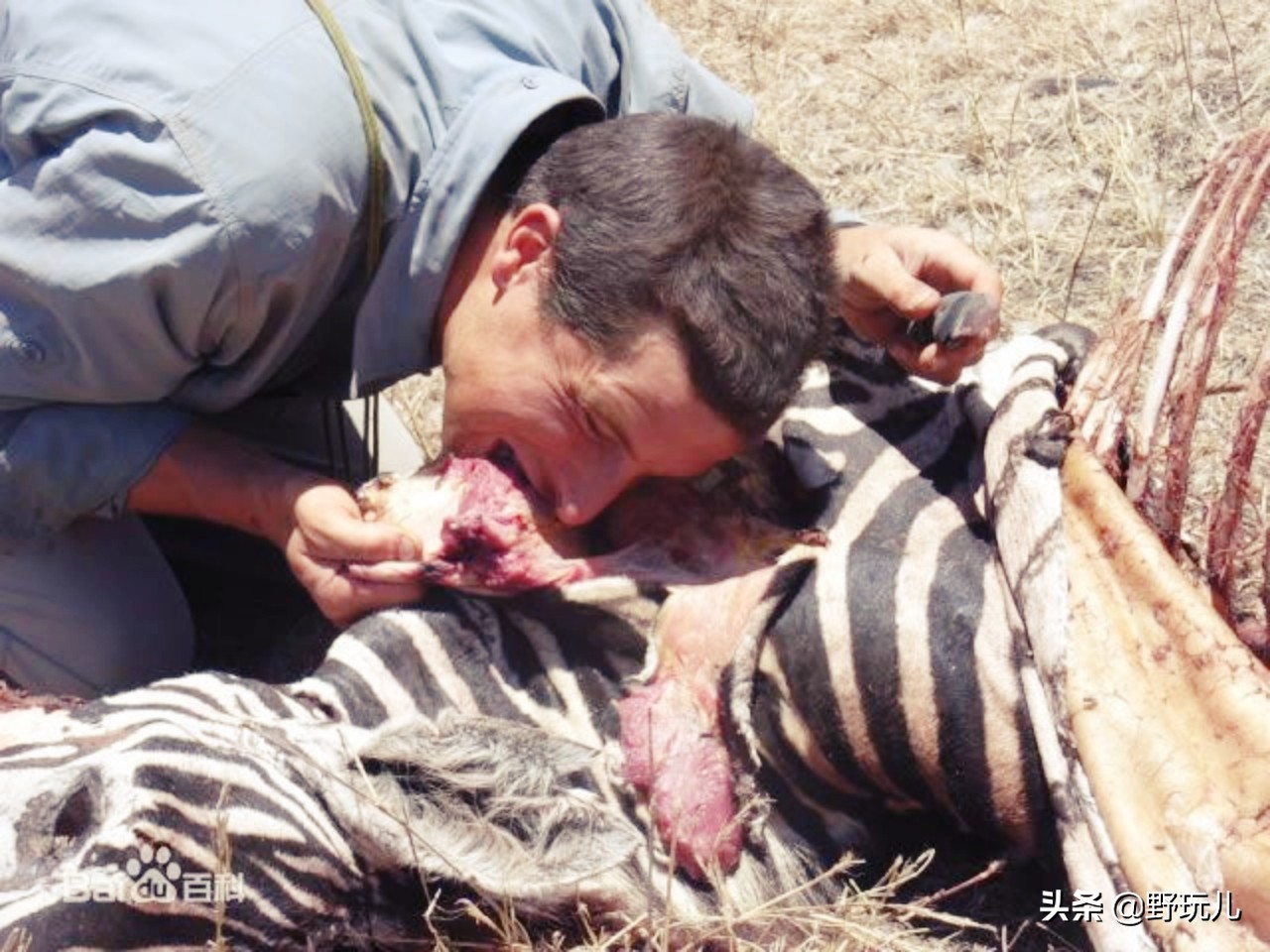 冲锋衣三合一discovery,贝爷穿的户外冲锋衣什么品牌