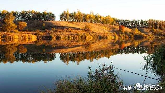 白鲳怎么钓上鱼最快,白鲳天冷怎么钓