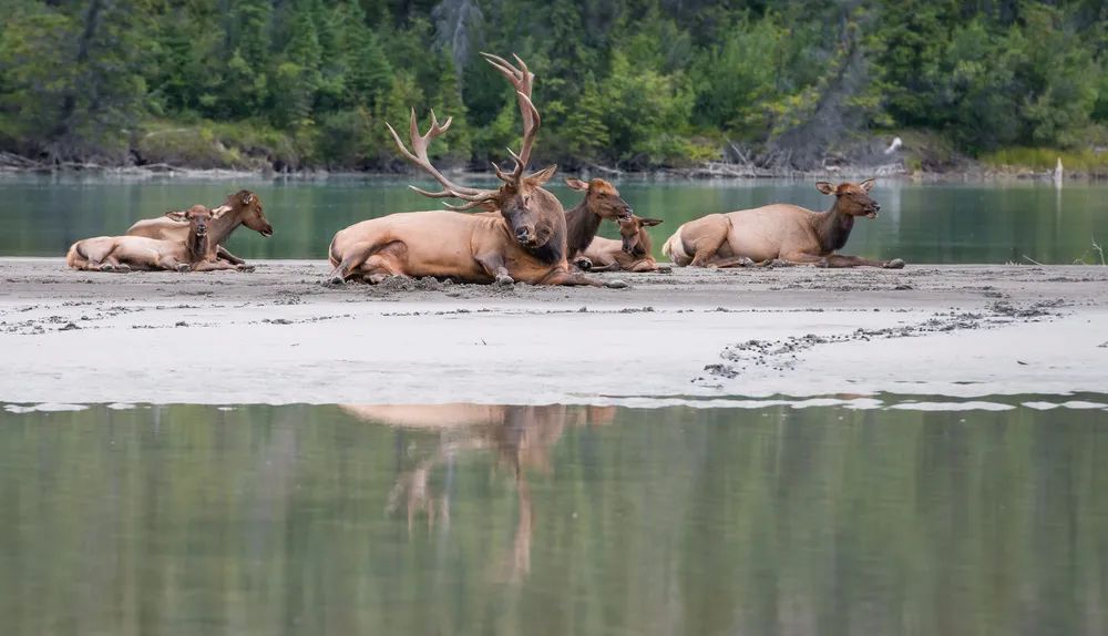 历史上洞庭湖是中国第一大湖吗,洞庭湖历史上最大面积