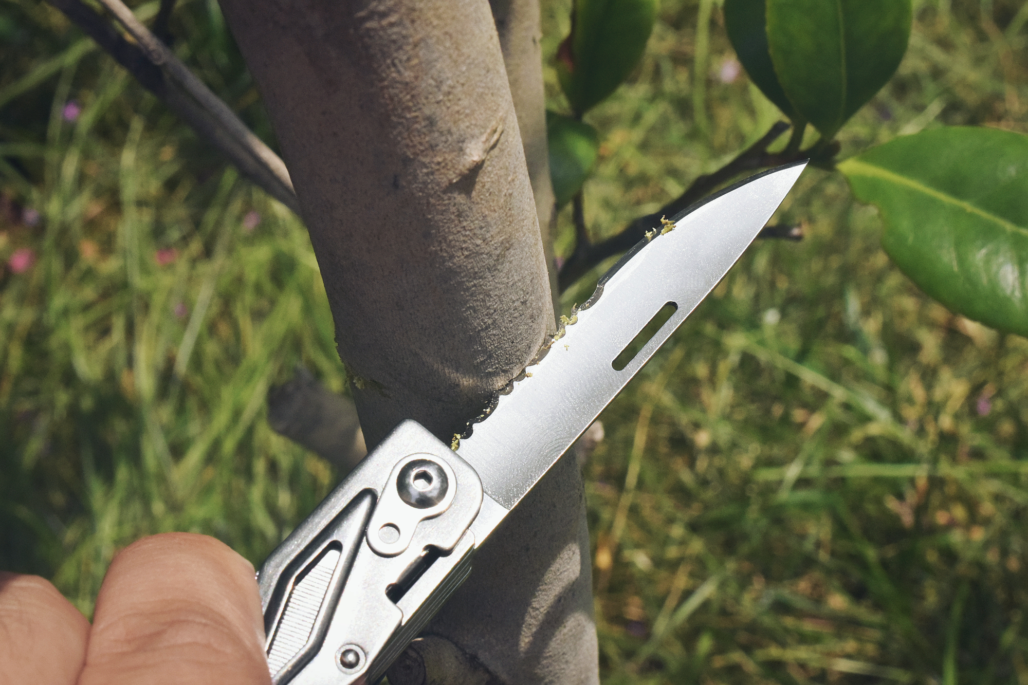 掌中利刃单手快开！——SOG迅猛龙多功能组合工具钳体验